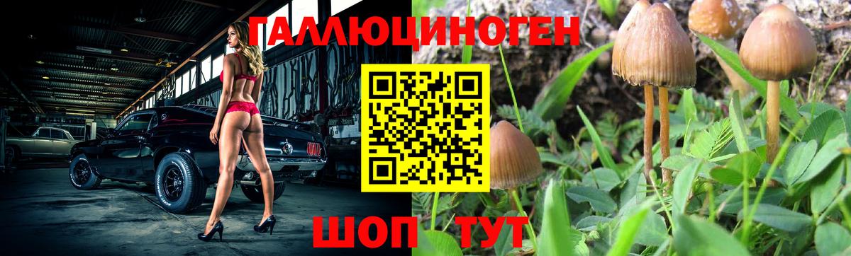 Псилоцибиновые грибы мицелий Избербаш