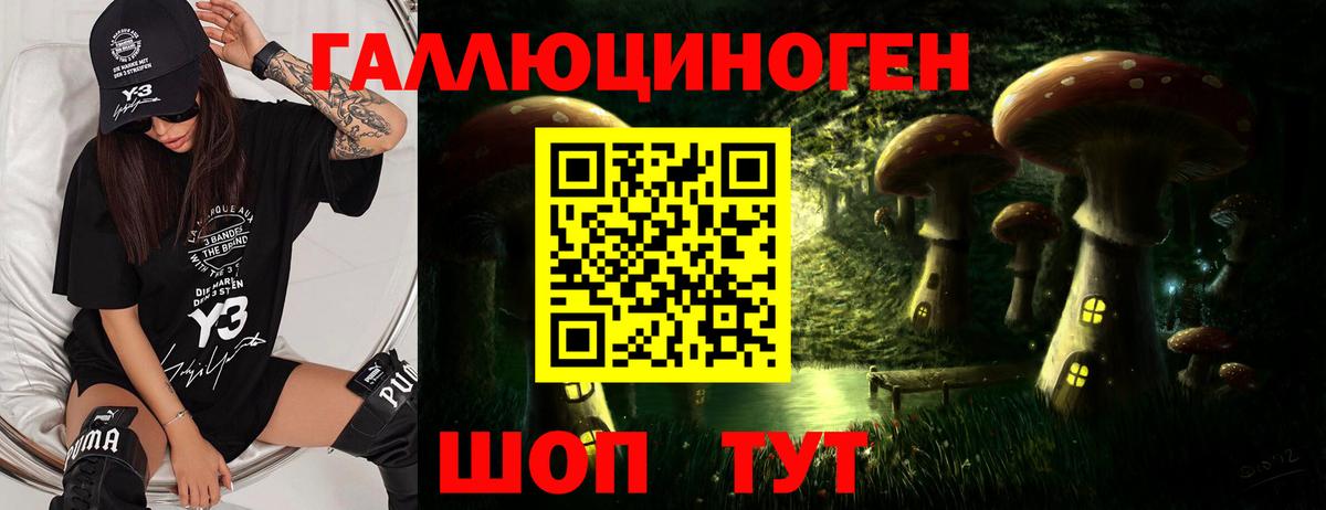 Избербаш  Псилоцибиновые грибы Psilocybe  купить наркотик  Псилоцибиновые грибы мицелий  Вход с VPN 